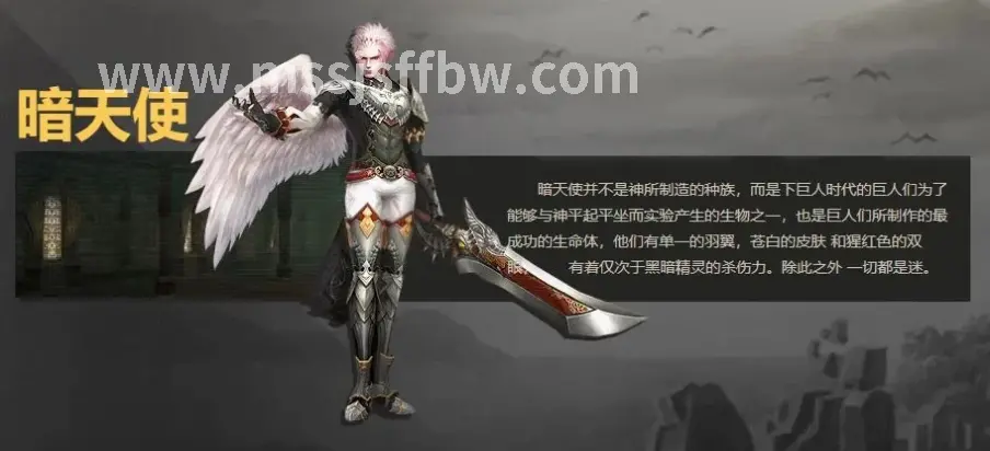 新手